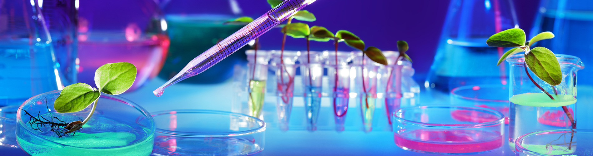 Traditional and clinical pharmacology practice